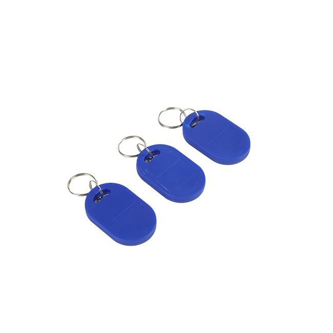 Dual Frequency Entry Keyfob