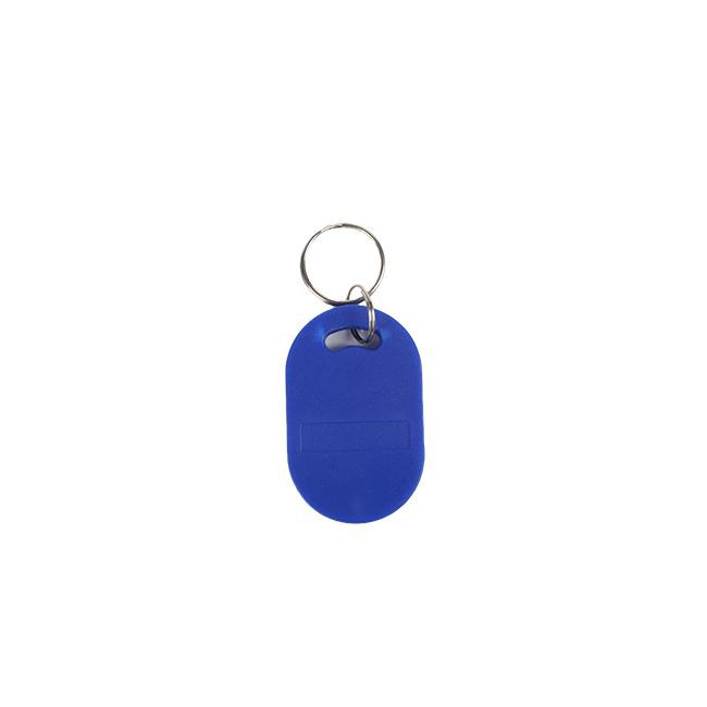 Dual Frequency Entry Keyfob