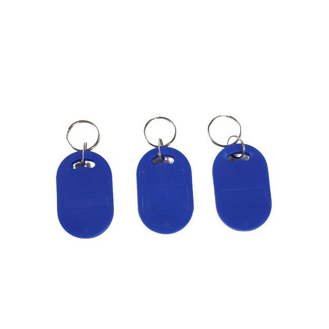 Dual Frequency Entry Keyfob